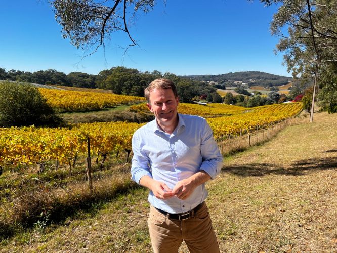 josh_vineyard